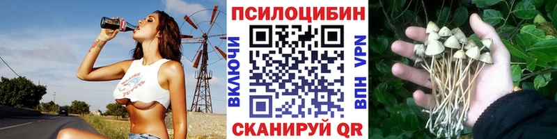 Купить закладки  Удомля  Галлюциногенные грибы прущие грибы 